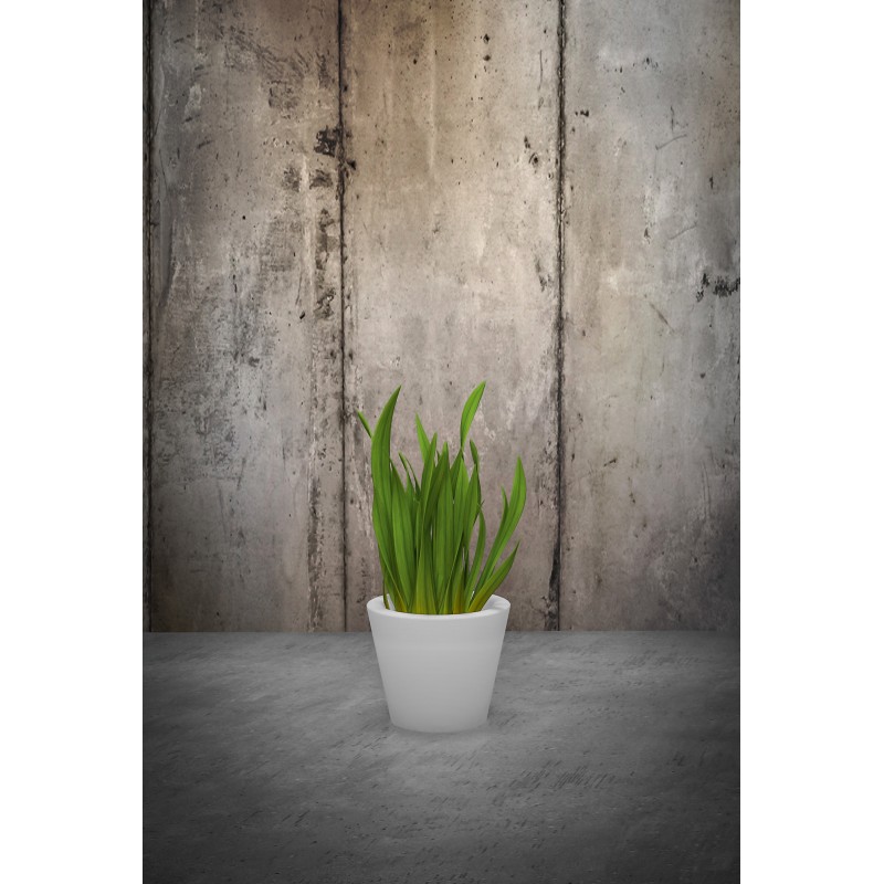 0802202363e3849503ffd