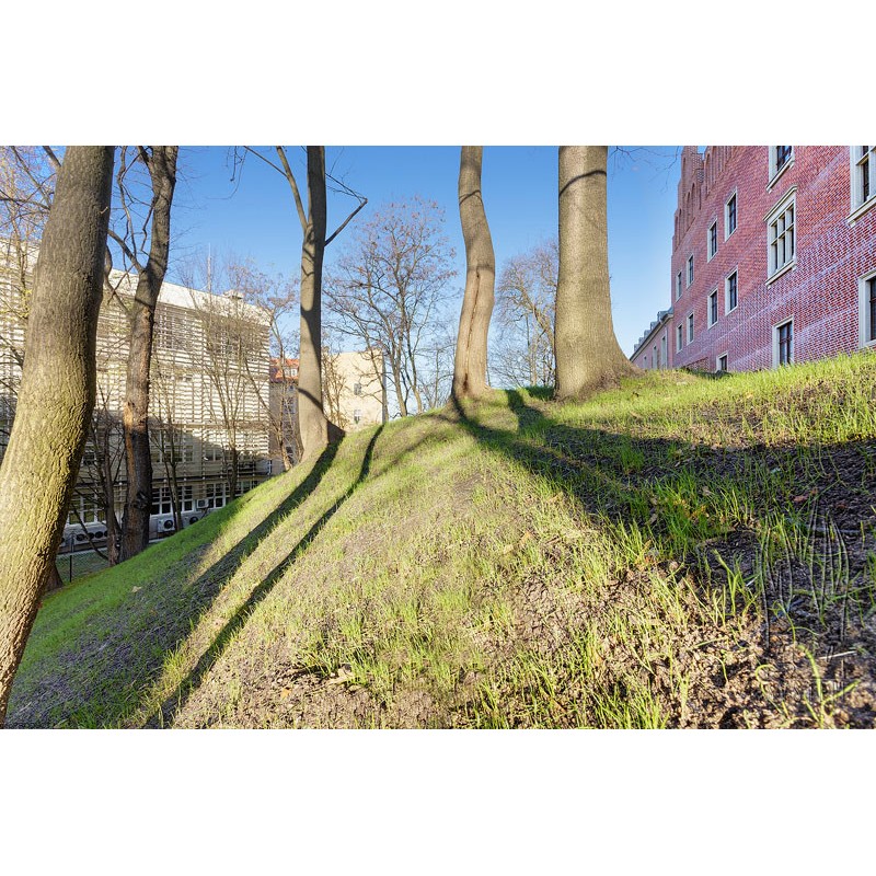 0802202363e385742e3a8