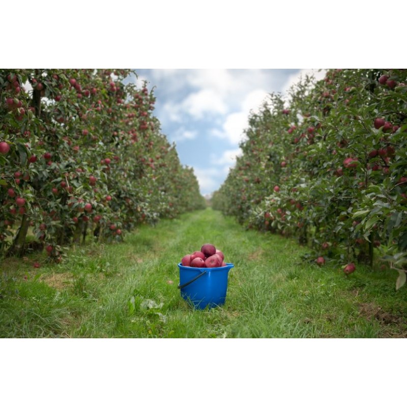 0802202363e385ff674c0