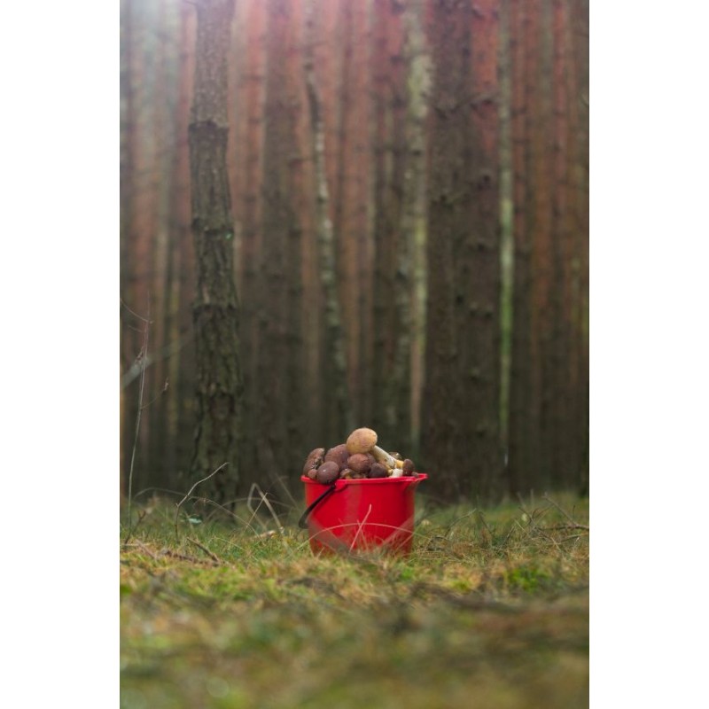 0802202363e385ffe254e