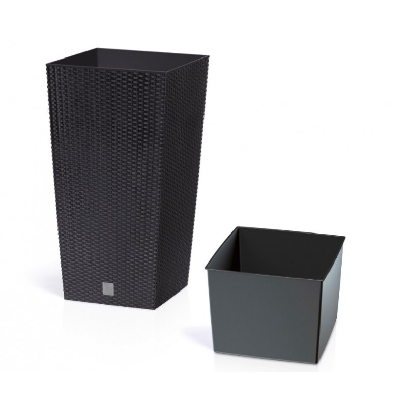 0802202363e3865e955c6