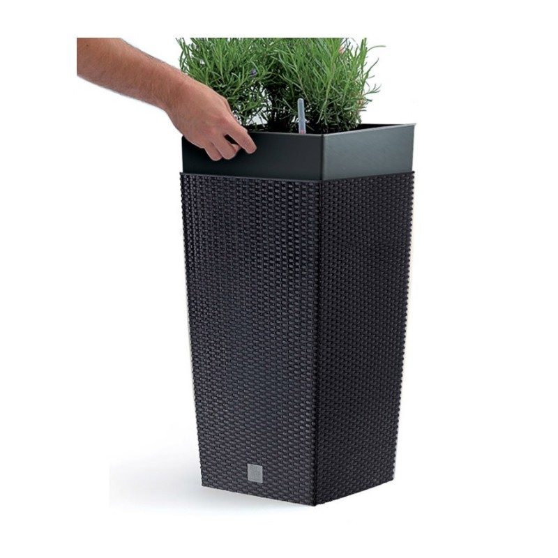 0802202363e3865f2aca0