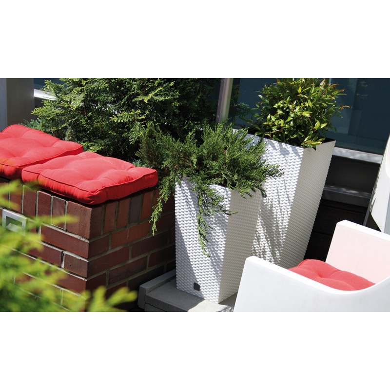 0802202363e3865f9aa2e