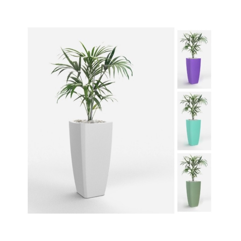 0802202363e3868879233