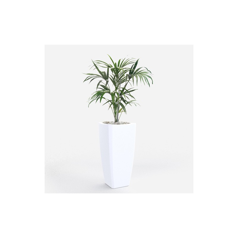 0802202363e3868a92344