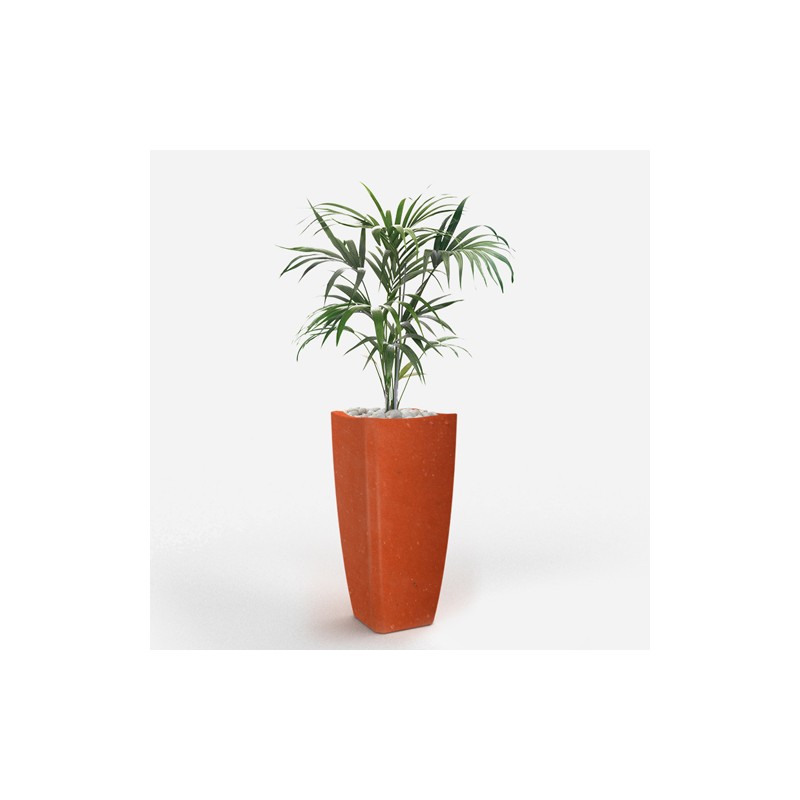 0802202363e3868edc6fa