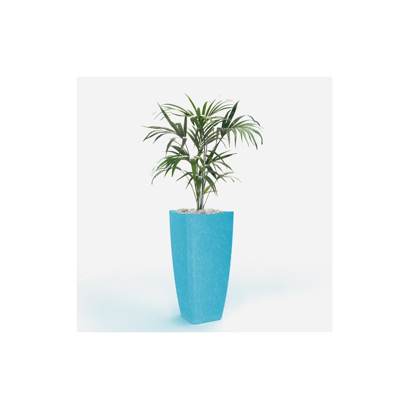 0802202363e386923a5a2