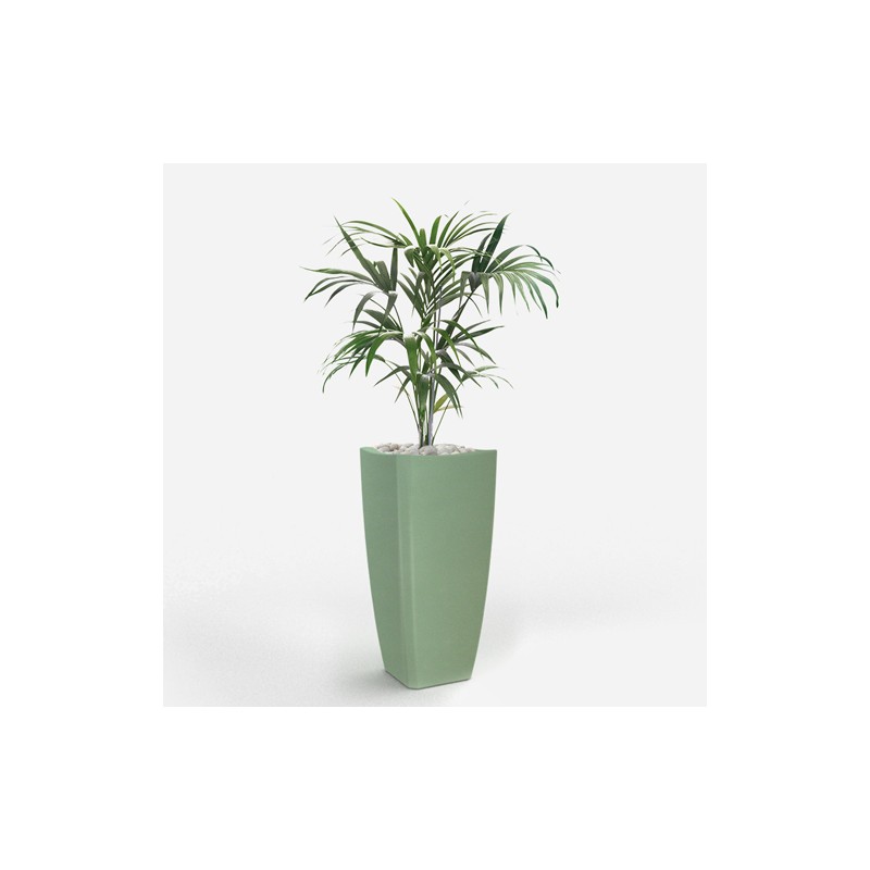 0802202363e386948779a