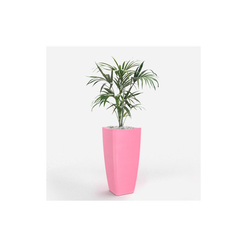 0802202363e38698e4bc4