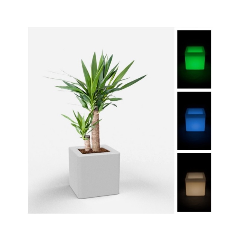 0802202363e386a9228d0