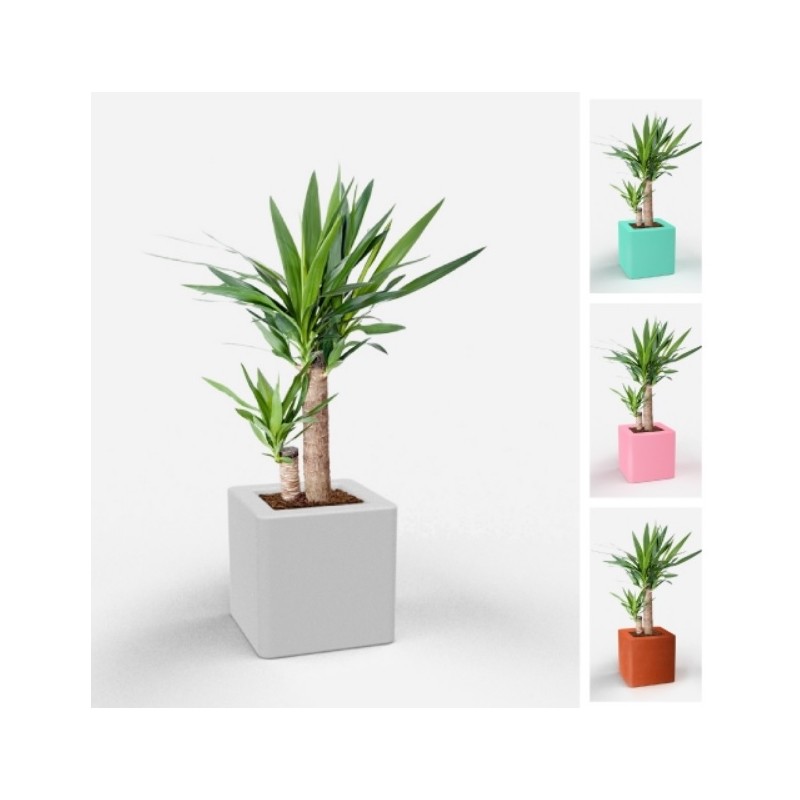 0802202363e386ac23eb1