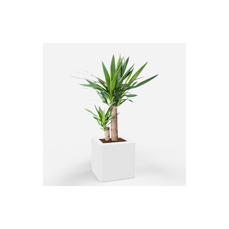 0802202363e386adabcec