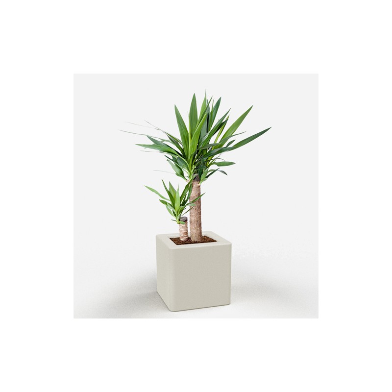 0802202363e386b003042