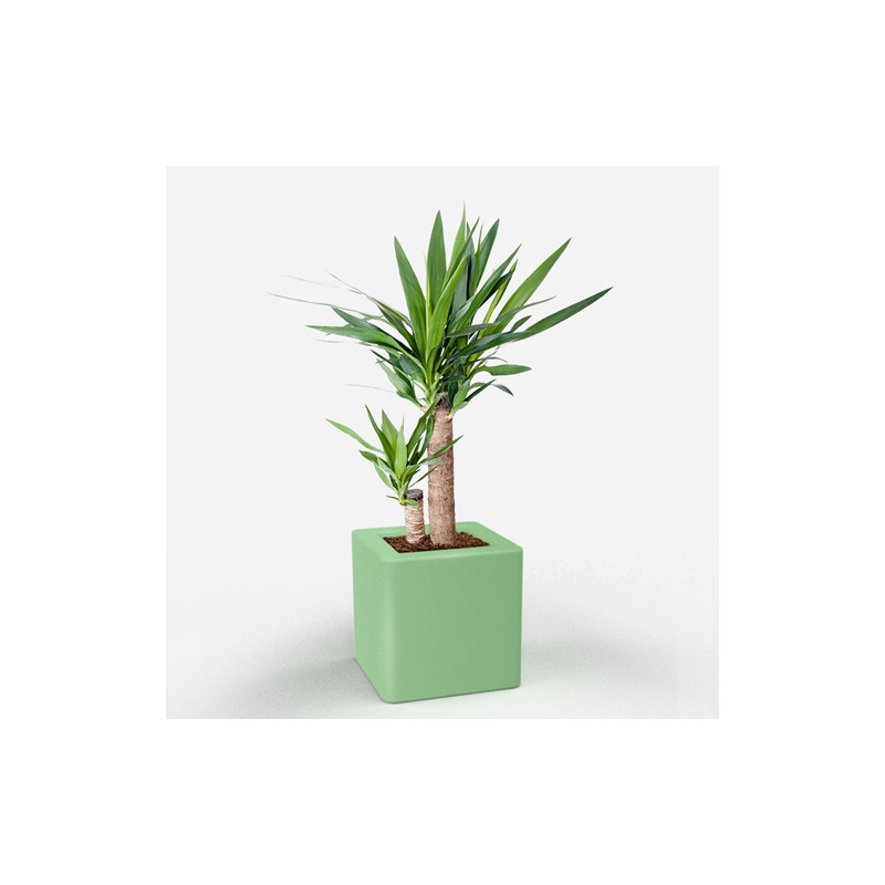 0802202363e386b081462