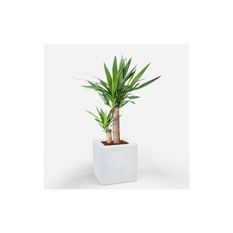 0802202363e386b109d8d