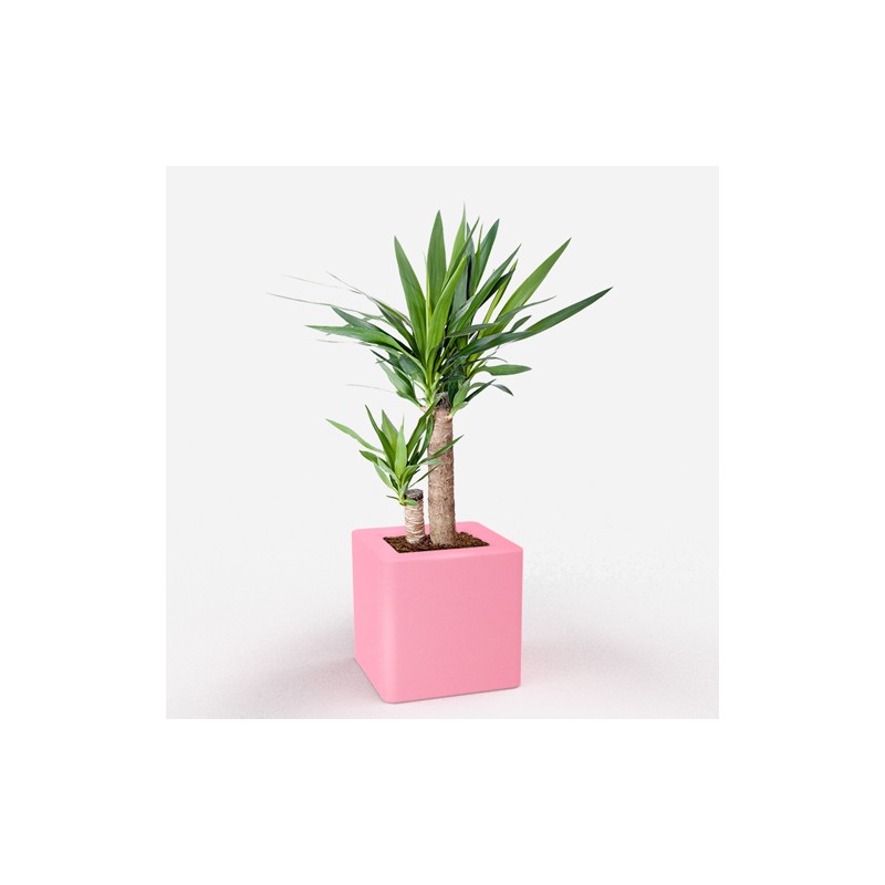 0802202363e386b37c49f