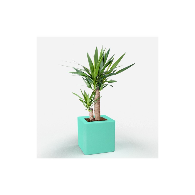 0802202363e386b53ac68