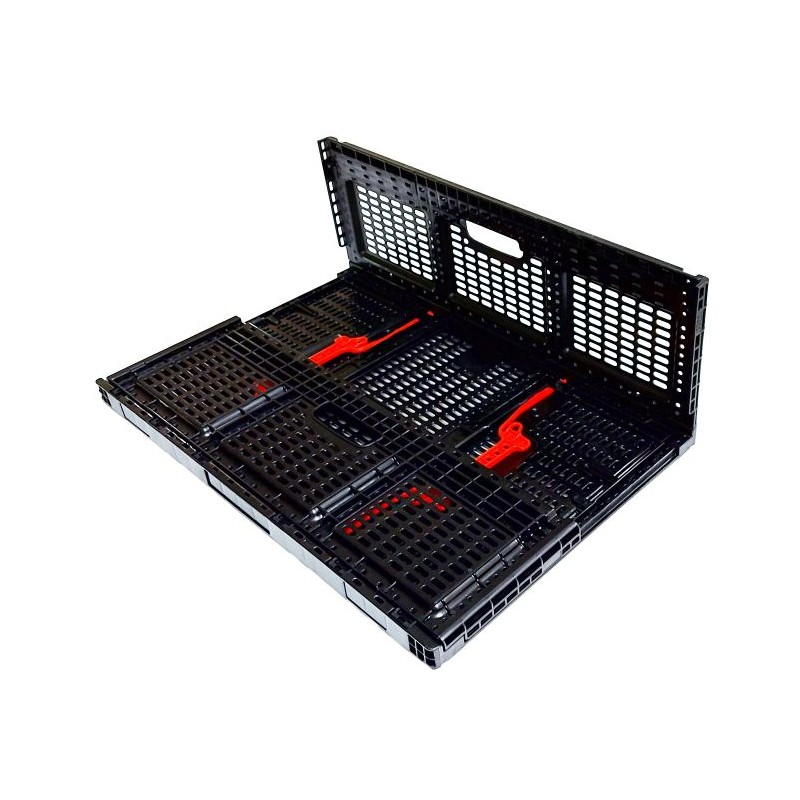 0802202363e38b555b60a