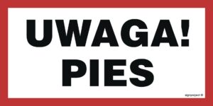NC113 Uwaga! Pies