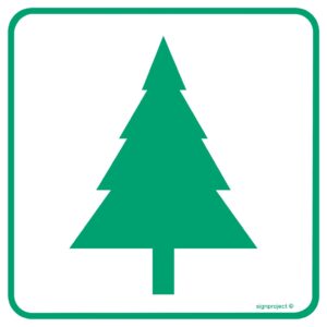 OD013 Skupisko drzew iglastych