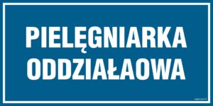 PA542 Pielęgniarka oddziałowa - 6 naklejek
