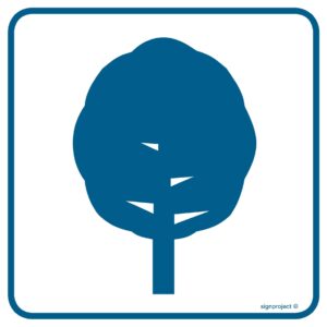 RA094 Drzewa liściaste