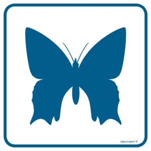 RA099 Rzadkie okazy motyli