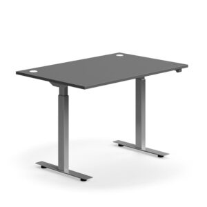 Biurko z regulacją wysokości FLEXUS, proste, 1200x800 mm, srebrna rama, szary