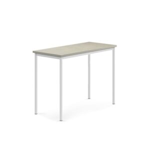 Stół SONITUS, 1200x600x900 mm, linoleum jasnoszary, biały