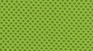 BLACK ON BLACK PLUS - ZIELONY Unique