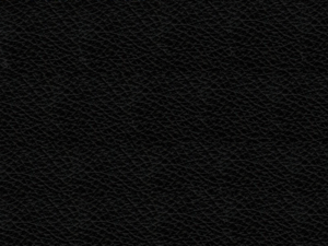 ANGGUN M - BIAŁY, CZARNA SIATKA/SKÓRA NATURALNA HL-4 CZARNA Unique